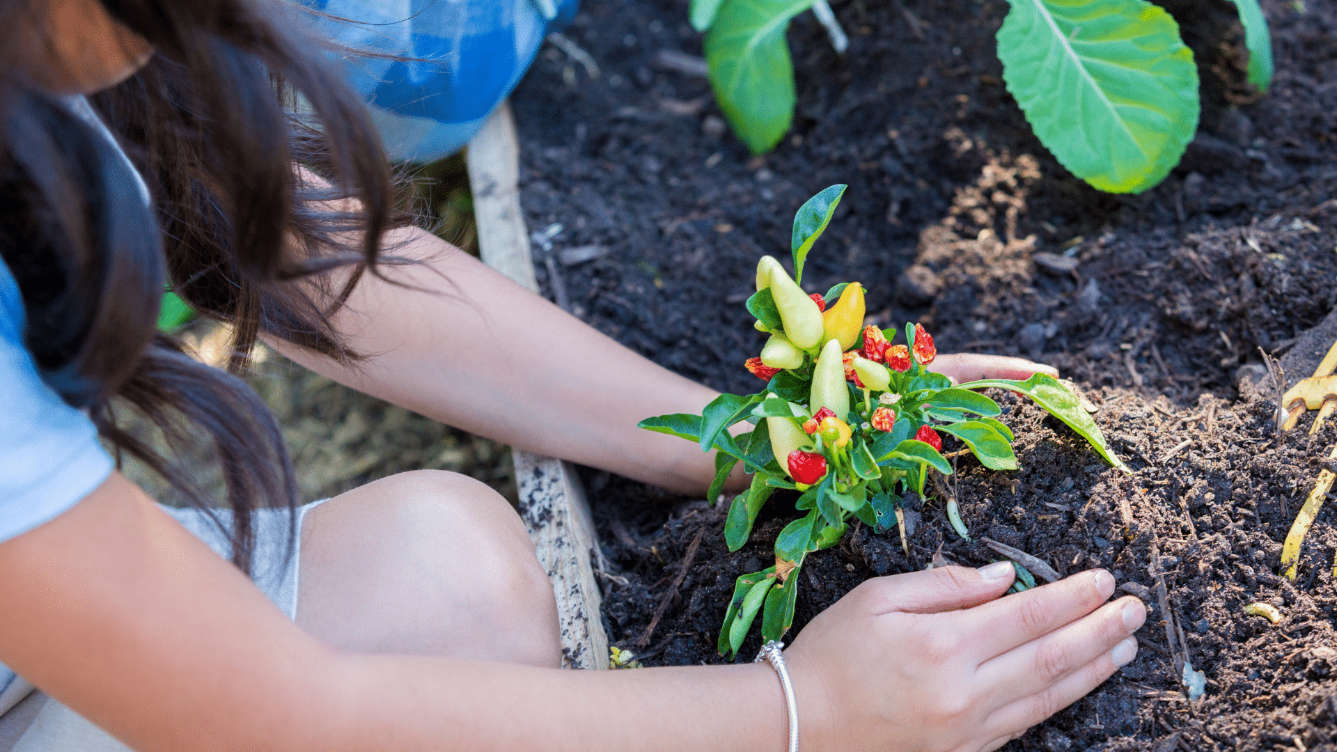 header granja escuela general