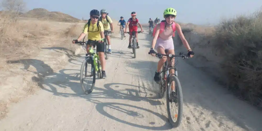 qué es la gestión turística