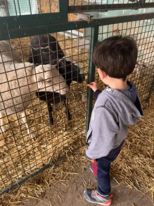 planes semana santa zaragoza