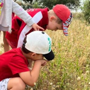 objetivos de una granja escuela