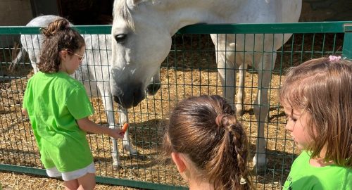 GranjaEscuela_Zaragoza