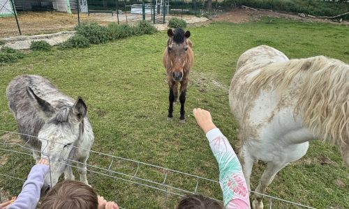 Granja_Escuela_Movera