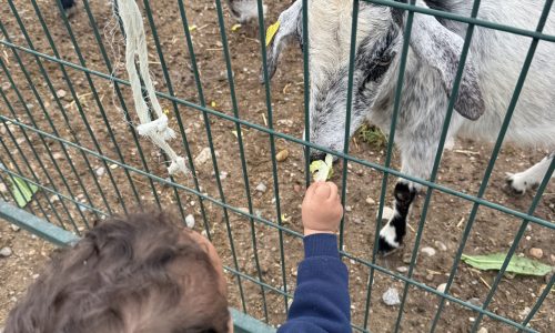 Granja_Escuela_Movera_2