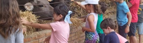 granja escuela de huesca