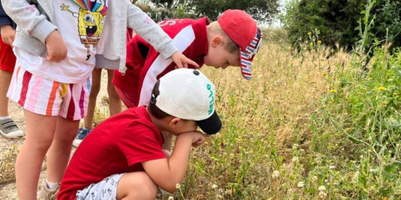 objetivos de una granja escuela